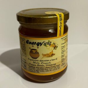 EnergySeng
